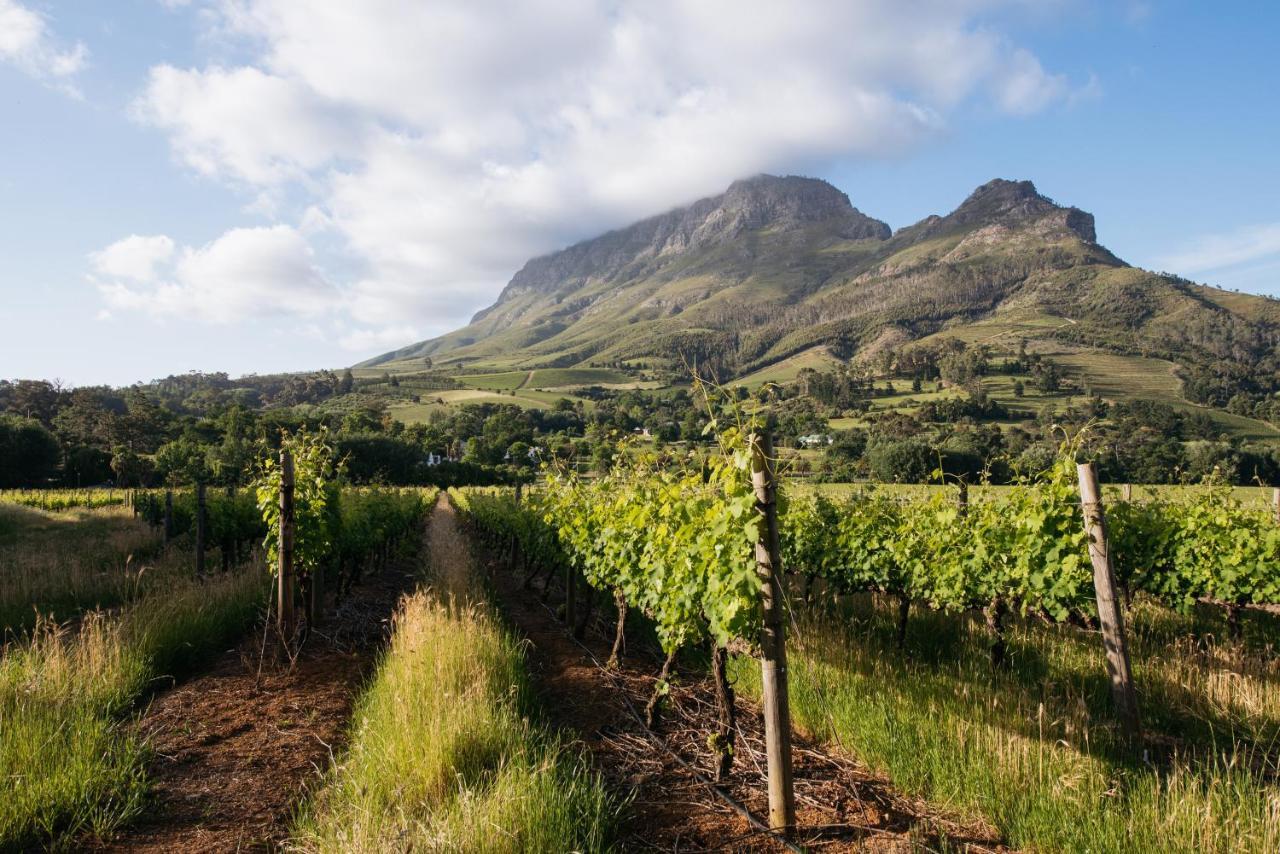 Banhoek Lodge Стеленбош Екстериор снимка