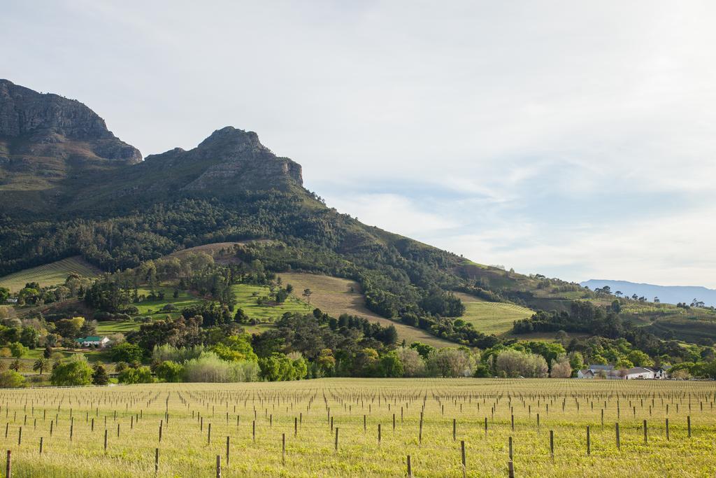 Banhoek Lodge Стеленбош Екстериор снимка